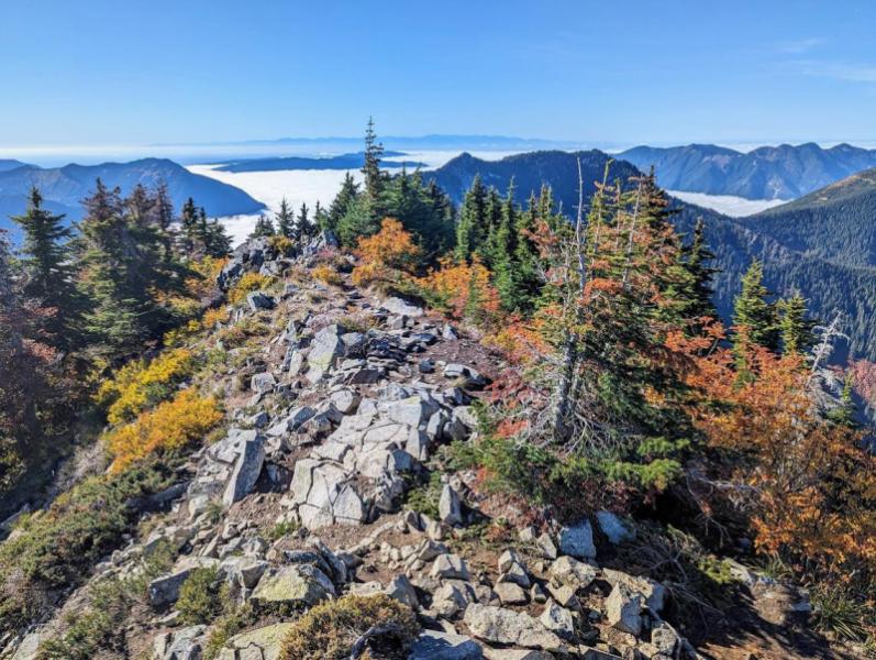 Mount Defiance