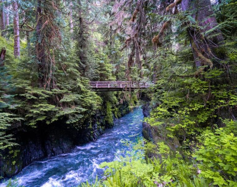 Enchanted Valley