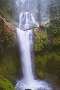 Little Mashel River Waterfalls