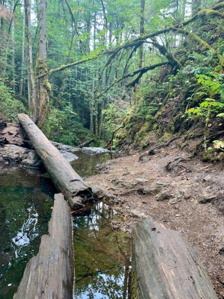 Marshall River Falls