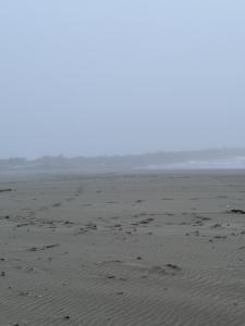 Photo from North Jetty night hike