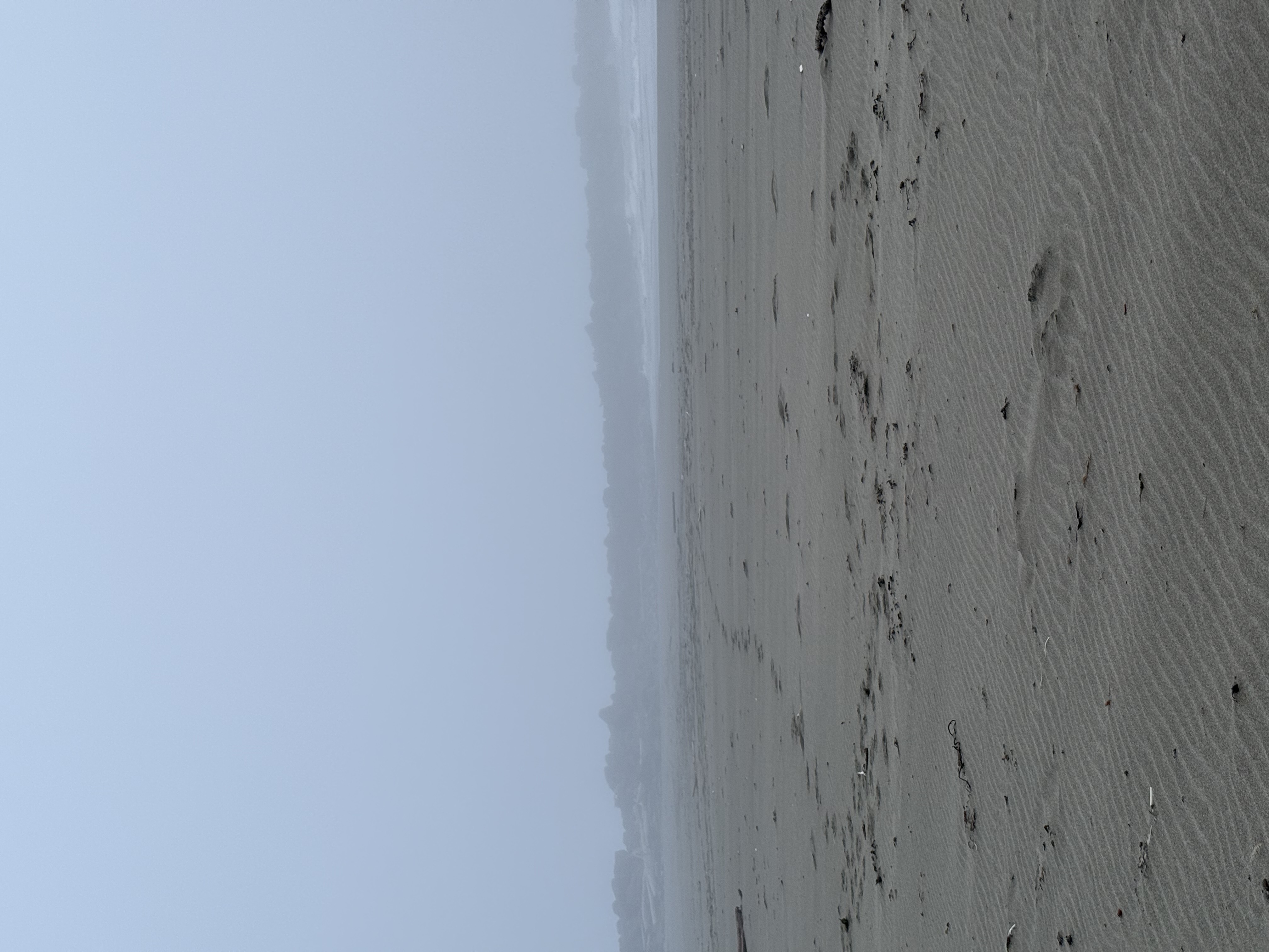 North Jetty night hike — activity photo