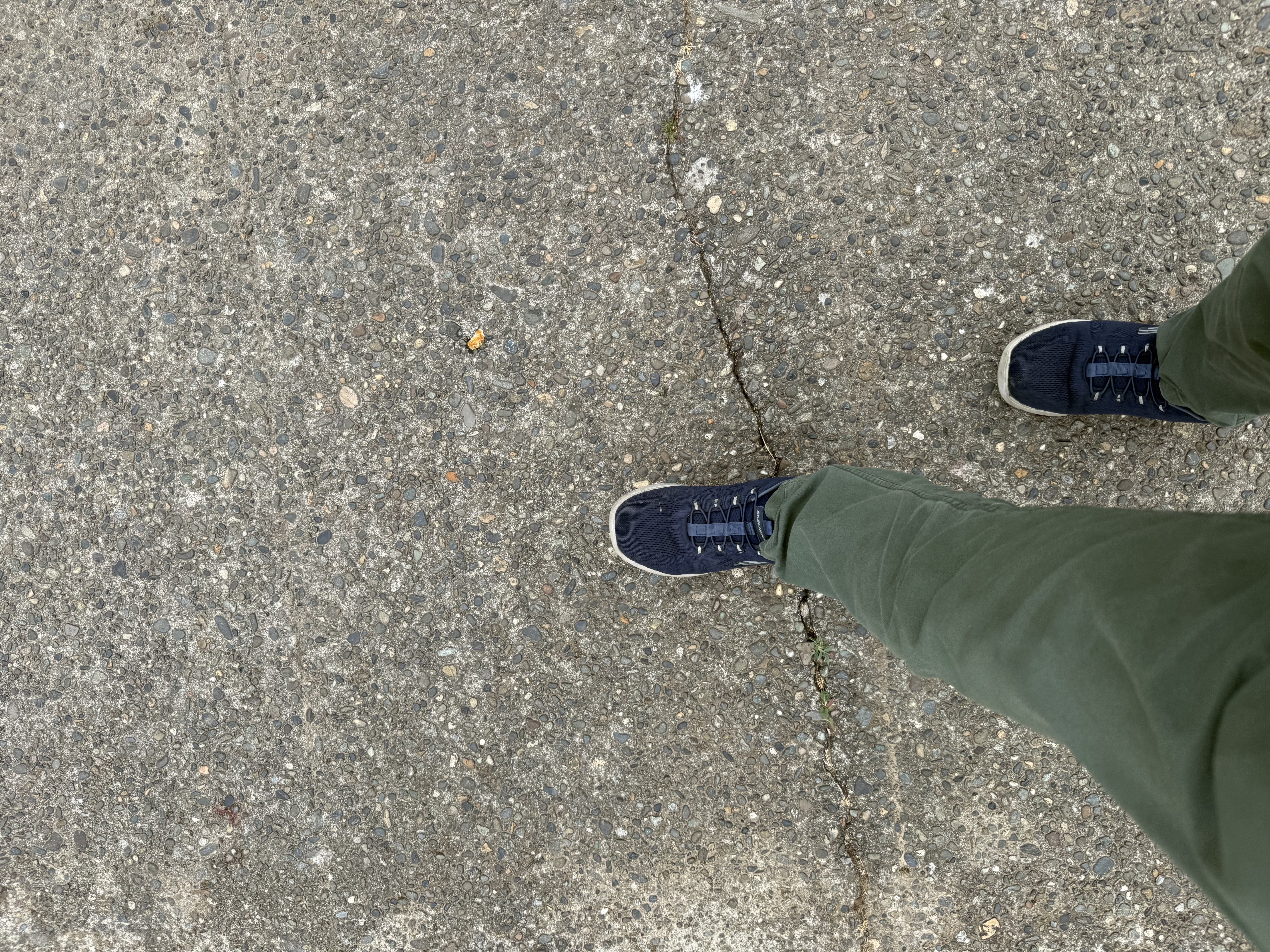 Launch time walk — activity photo