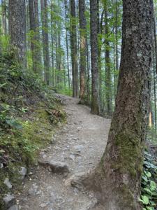 Photo from Mount Teneriffe Falls