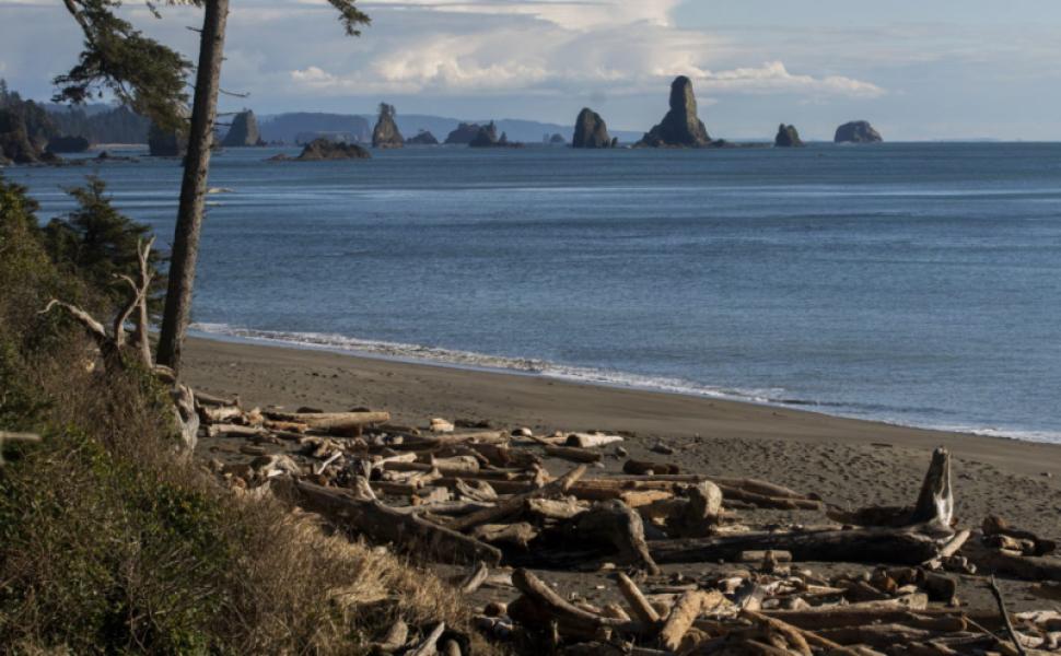 Third Beach