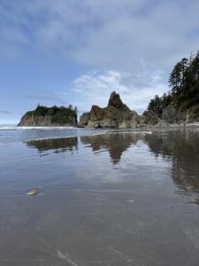 Photo from Ruby beach
