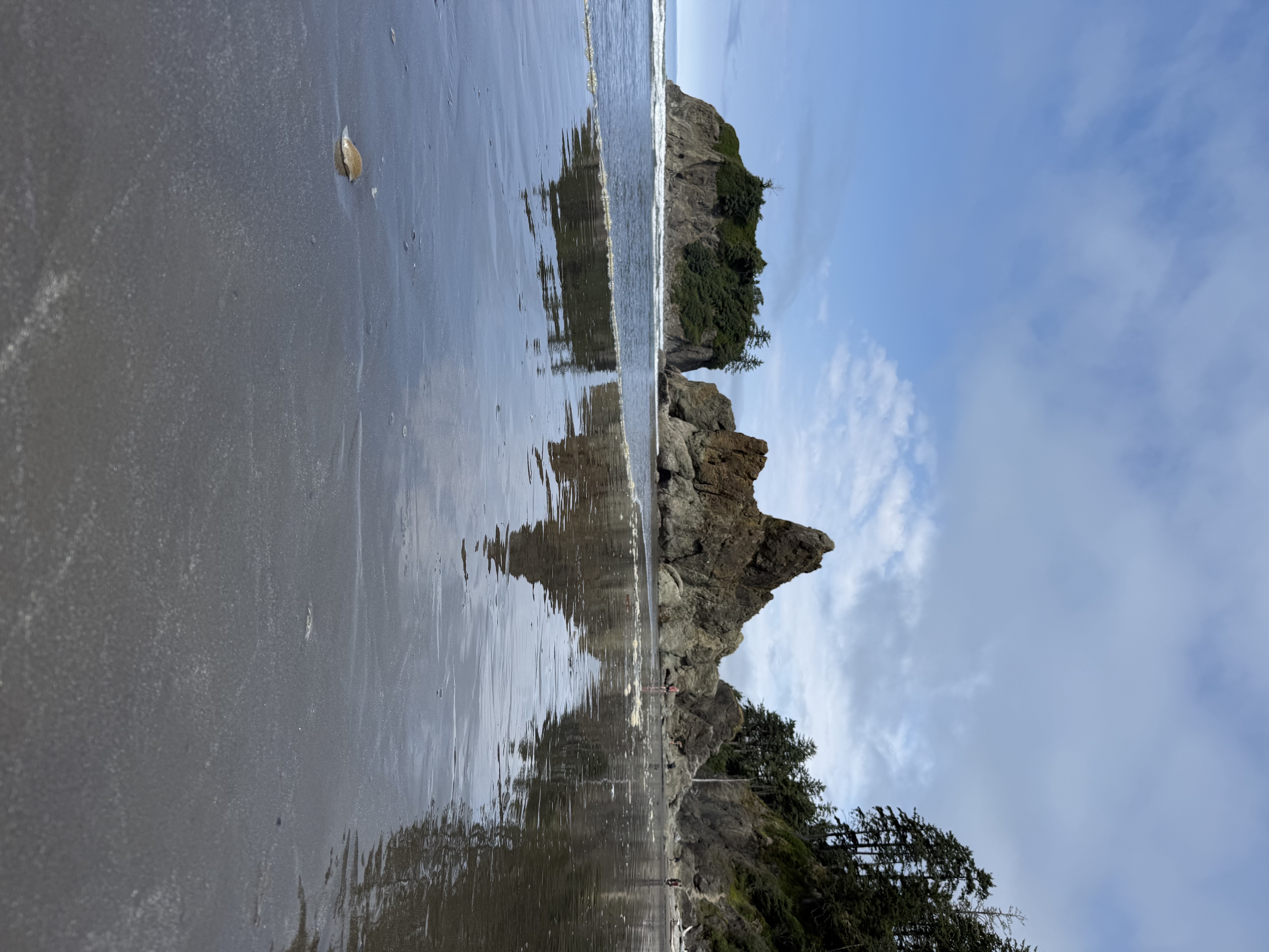 Ruby Beach — activity photo