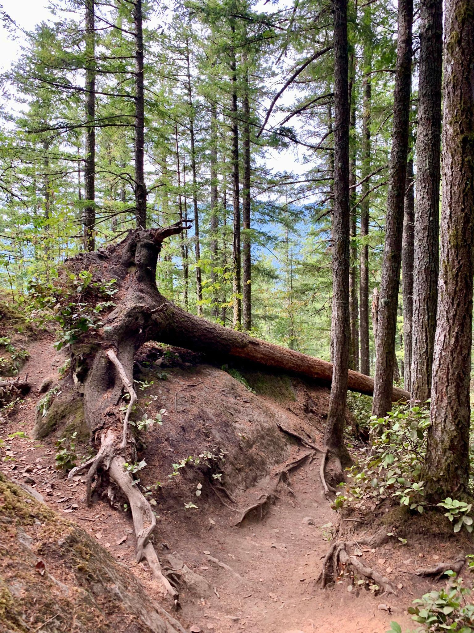 Mount Si
