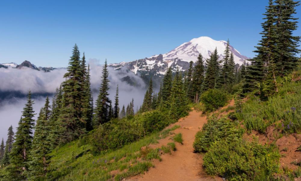 Naches Peak Loop