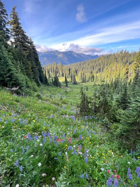 Naches Peak Loop