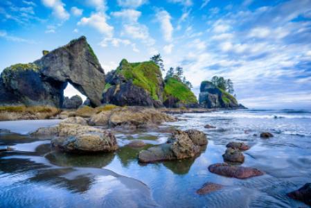 Shi Shi Beach