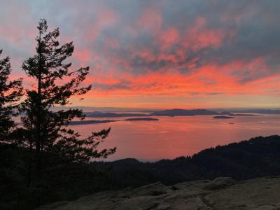 Oyster Dome
