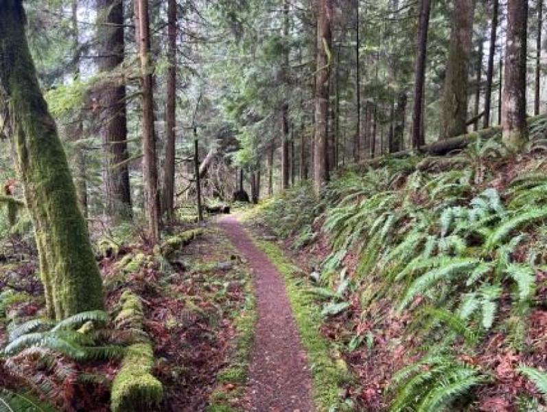 Tiger Mountain / Poo Poo Point